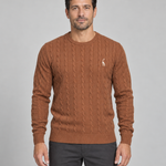 Front cropped view of a man wearing a brown cable-knit crew-neck jumper with a small white chest motif.